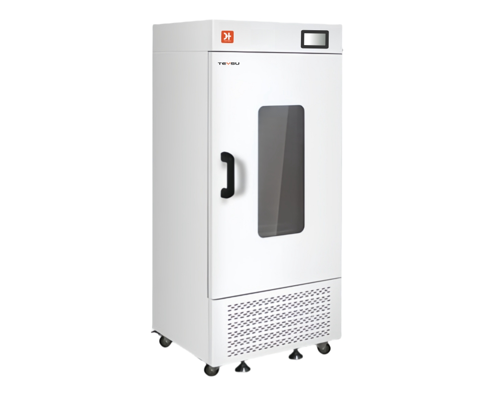 ����ȫ����ʎ���B(y��ng)�䣨260��